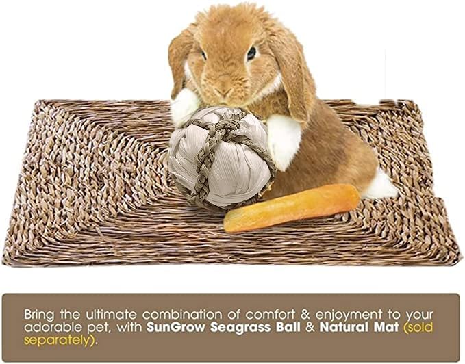 SunGrow Assorted Rabbit & Cat Chew Balls, Teething Activity Toy - Image 6