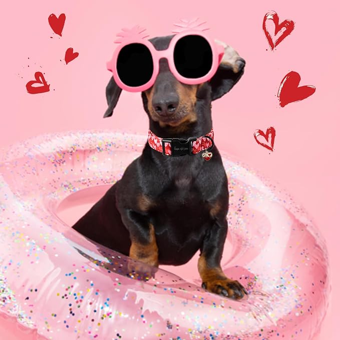 Unique style paws Valentine's Day Dog Collar Plastic Buckle Collar - Image 5
