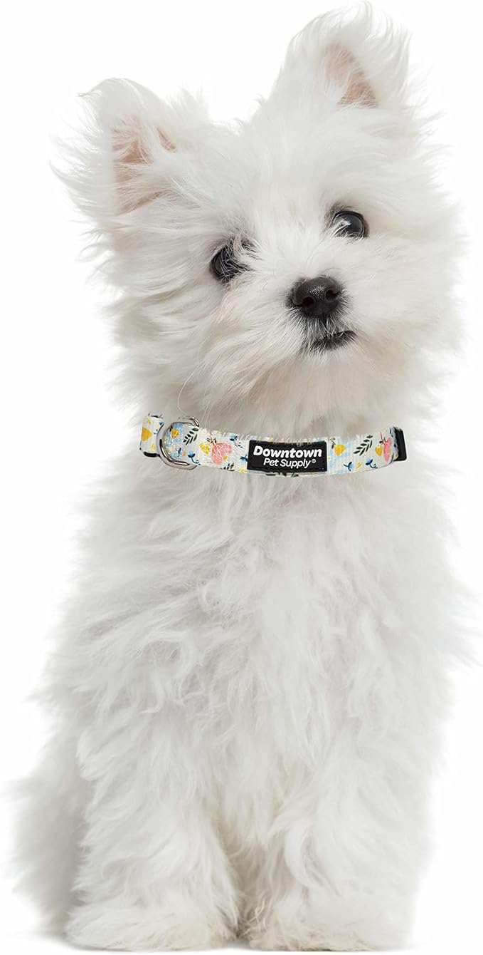 Downtown Pet Supply - Image 4