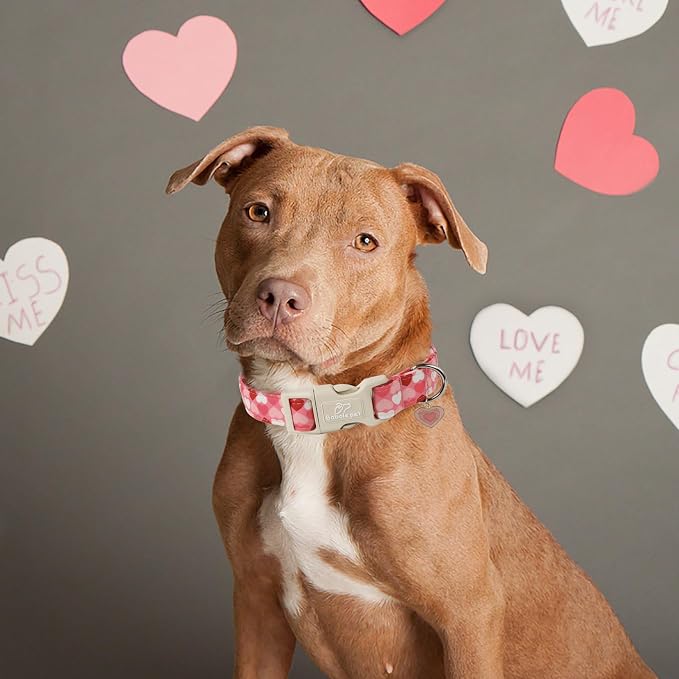 Valentines Dog Collar for Small Dogs - Image 4