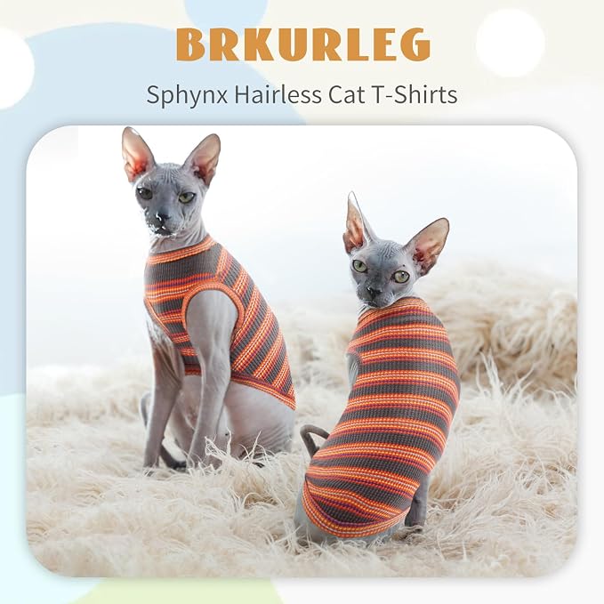 BRKURLEG Sphynx Hairless Cats Shirt Puppy Clothes Soft Cotton T-Shirts Cute - Image 2