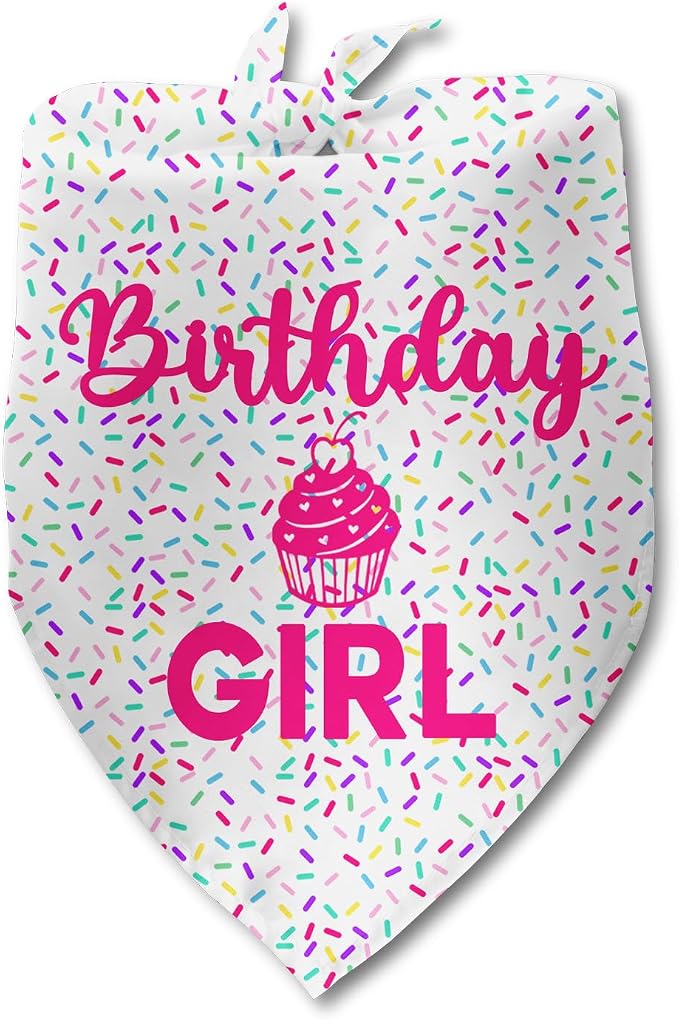 Dog Birthday Bandana Birthday Girl Pet Scarf Bibs Accessories Party Supplies by Luptiteuy