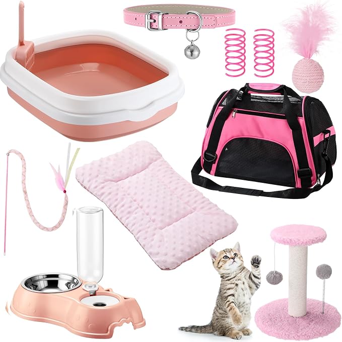 Eccliy Kitten Starter Kit, Pet Toy, Folding Carrier, Climbing Frame, Automatic by Eccliy