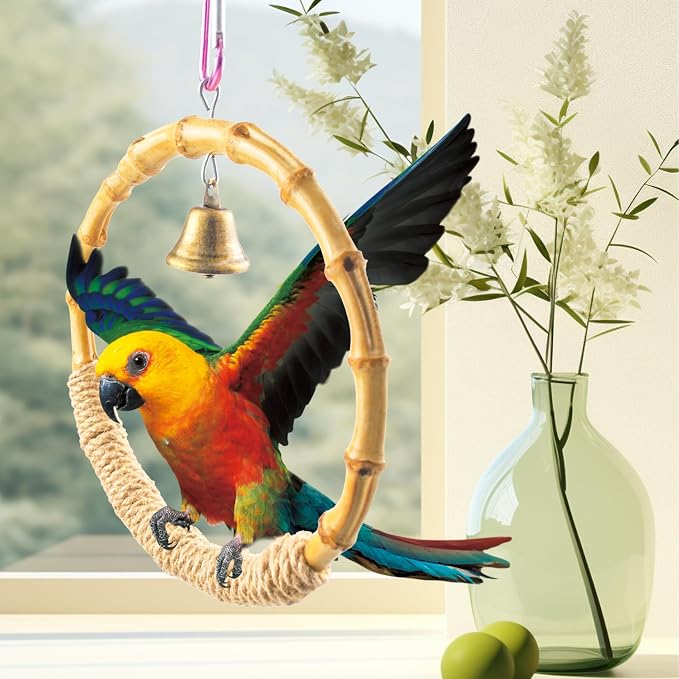 Bamboo Ring Bird Swing Perch, Large Circle Cage Hanging Toys, Bird Perch - Image 2