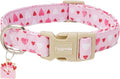 Faygarsle Valentine's Day Dog Collar, Adjustable by Faygarsle