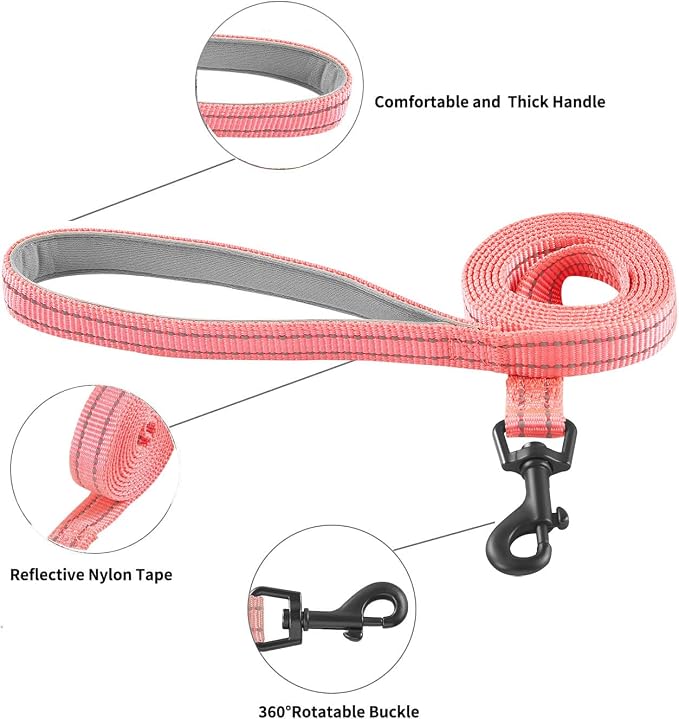 Hipubby Dog Harness and Leash Set, No Pull Soft Mesh Puppy Harness - Image 6