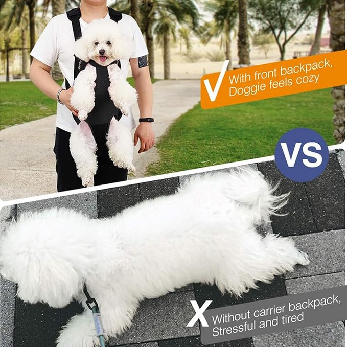 Lightweight Pet Backpack Carrier - Image 5