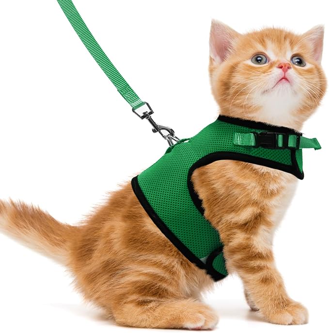 PUPTECK Soft Mesh Cat Vest Harness and Leash Set Puppy Padded Pet Harnesses by PUPTECK