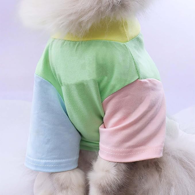 Custom Dog Birthday Shirt, Personalized Pet Apparel Print - Image 3