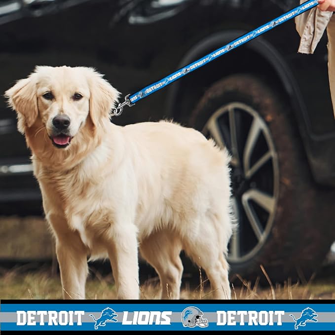 NFL PET Collar Detroit Lions Dog Collar, Small Football Team Collar - Image 4