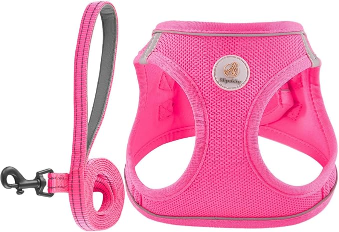 Hipubby Dog Harness and Leash Set, No Pull Soft Mesh Puppy Harness by Hipubby