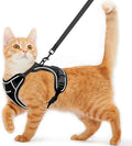 Cat Harness and Leash for Walking Escape Proof Soft Adjustable Cat Leash by Unknown