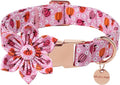 Halloween Pumpkin Dog Collar by UPURARAPUP