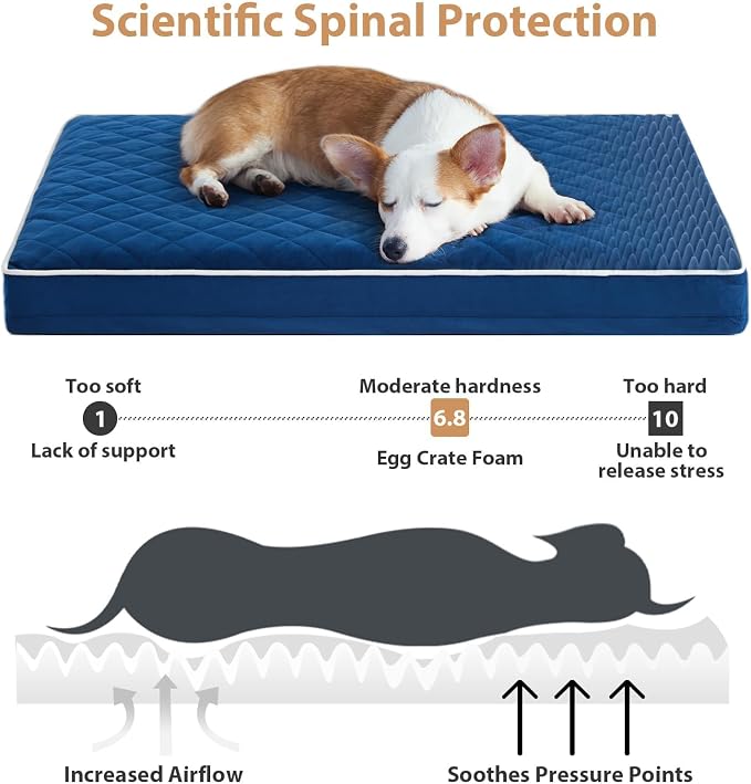 WNPETHOME Orthopedic Big Dog Beds Large Sized Dog, Waterproof Extra Large Dogs - Image 3