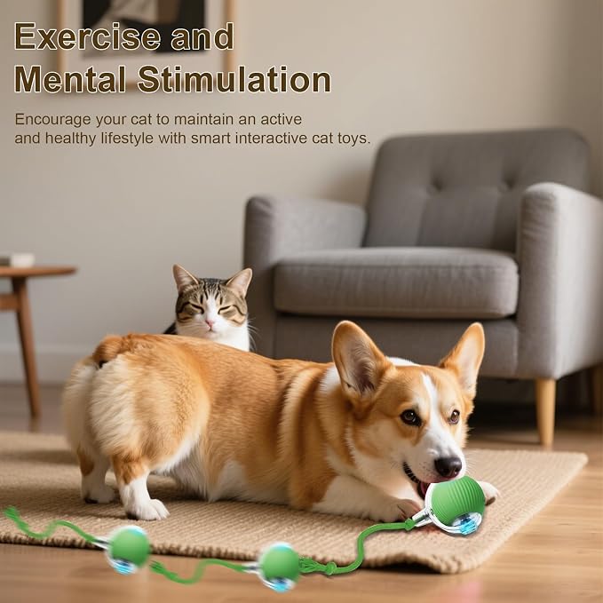Interactive Cat Toy, 2025 New Interactive Rolling Cats Dog Toy Balls 360° Smart - Image 4