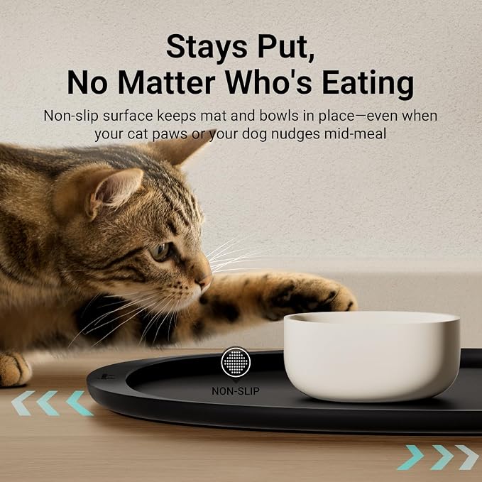 DownyPaws Cat Food Mats for Floors Waterproof, BPA Free Silicone Pet Feeding Mat - Image 7