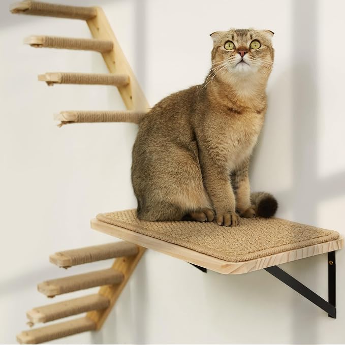 Strong Cat Shelves Stairs for Wall Mounted, 1P Cat Shelf& 2PCS 4 Steps Stairway by PELUOMOZ