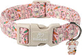 Easter Dog Collar for Small Dogs by Babolepet