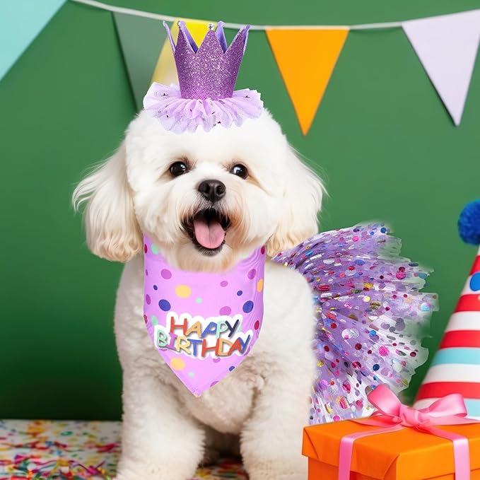 Dog Birthday Bandana with Hat and Dress Girl Set, Dog Birthday Hat Bandana Girl - Image 6