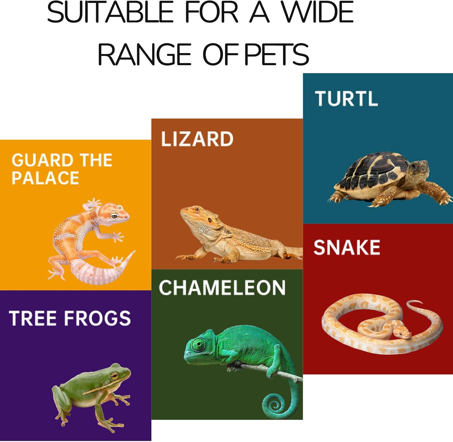 Small Resin Reptile Hide for Leopard Gecko - GlobalHabitat Supply