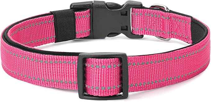 Reflective Dog Collar Padded