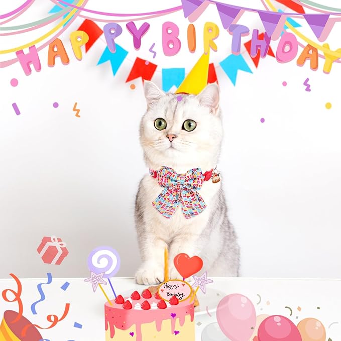 SCENEREAL Birthday Cat Collar - Image 2