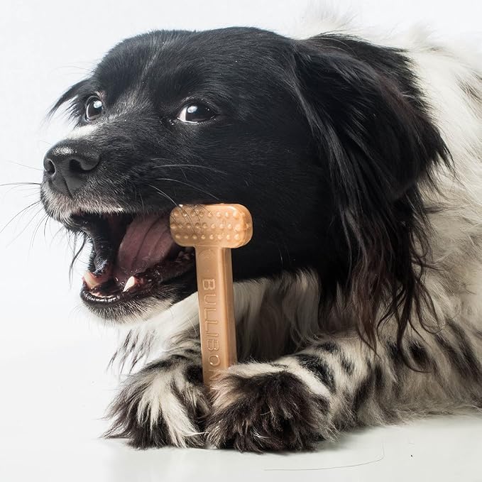 Bullibone Nylon Dog Chew Toy for Aggressive Chewers - Image 7