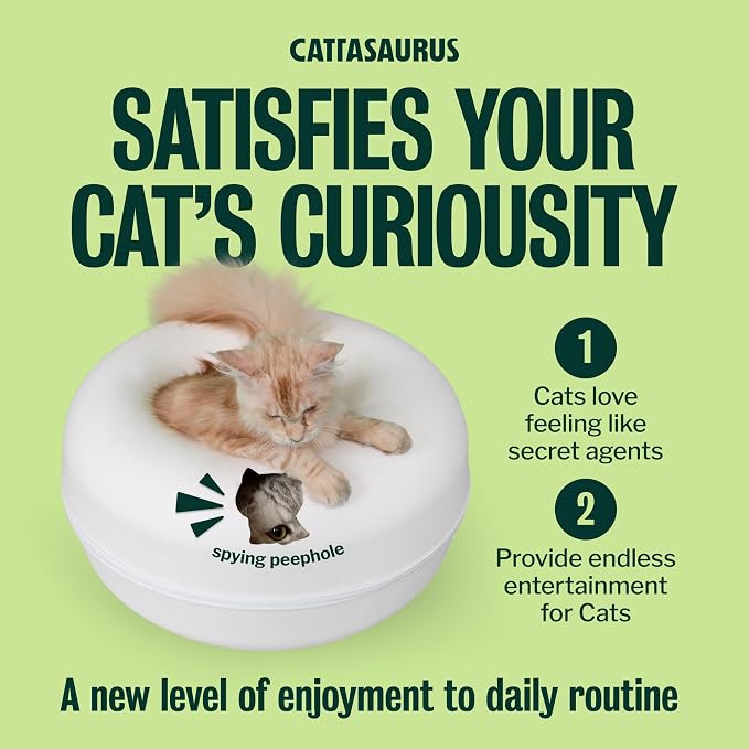 Cattasaurus Peekaboo Cat Cave Donut - Image 5