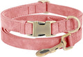 Genuine Leather Dog Collar by HOME