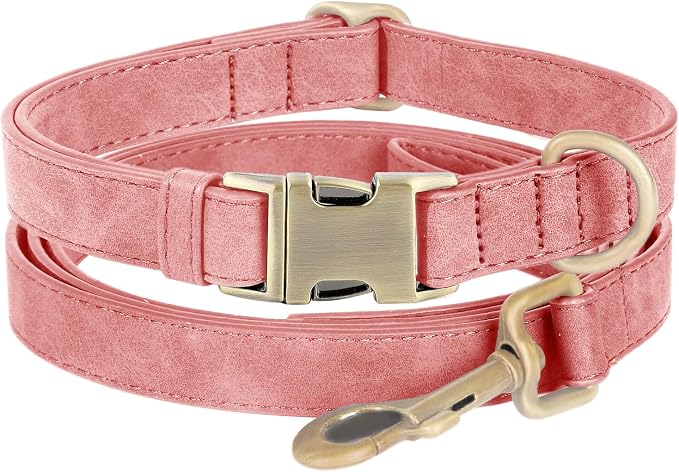 Genuine Leather Dog Collar by HOME