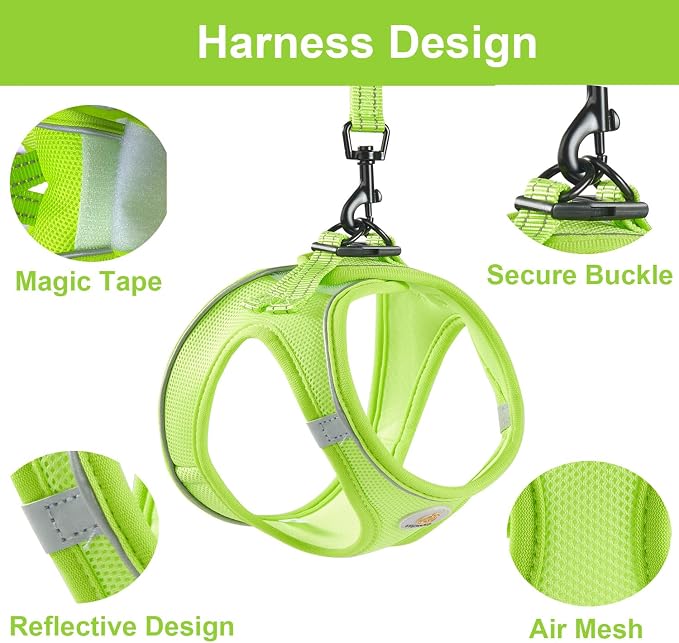 Hipubby Dog Harness and Leash Set, No Pull Soft Mesh Puppy Harness - Image 3
