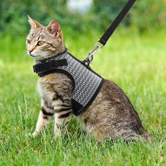 PUPTECK Soft Mesh Cat Vest Harness and Leash Set Puppy Padded Pet Harnesses - Image 5
