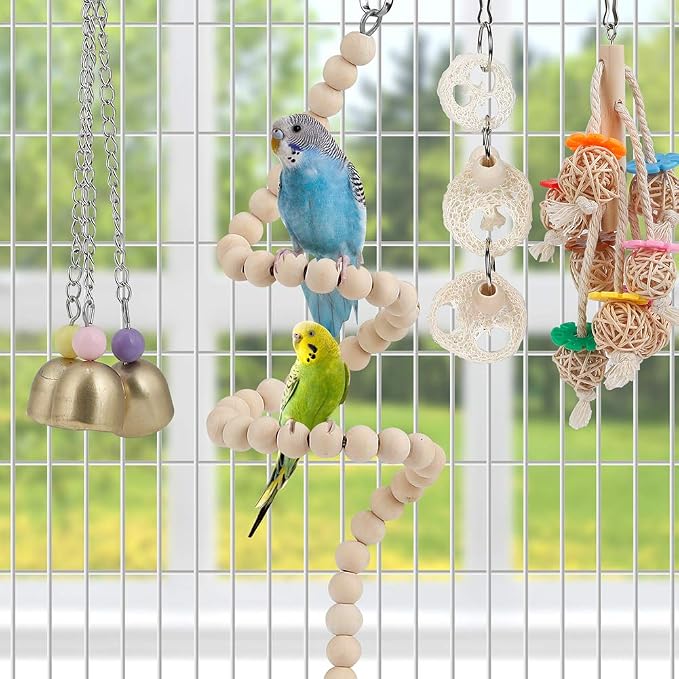 For Parakeet, Love Birds, Parrots - Image 4