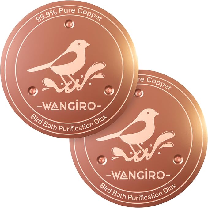 Bird Bath Copper Disk 2PCS-99.99% Pure Copper Purification Disk 1 mm Thick by WANGIRO
