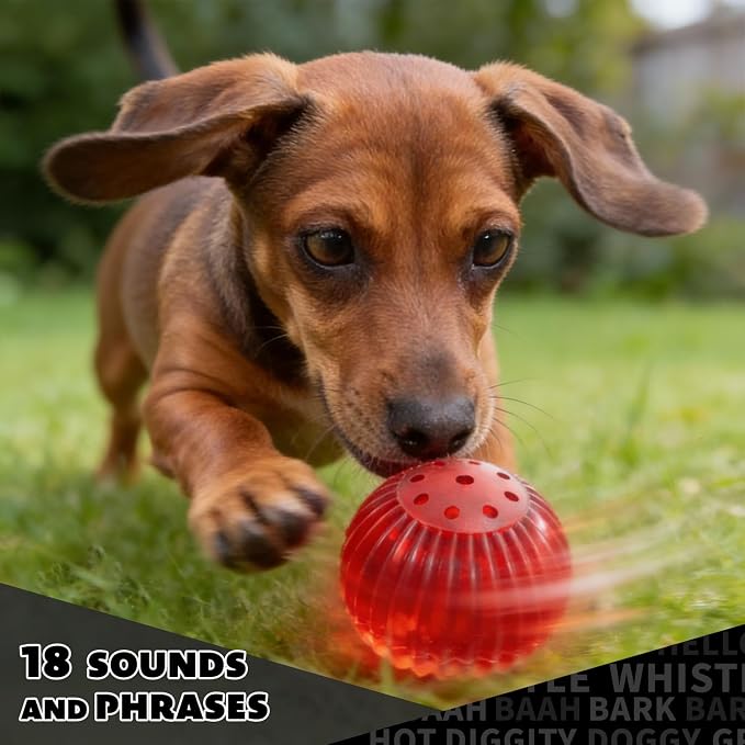 Pet Qwerks Blinky Babble Ball - Image 3