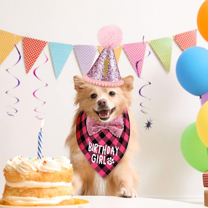 Weewooday Dog Birthday Party Supplies Birthday Boy Girl Cake Bandana Triangle - Image 6