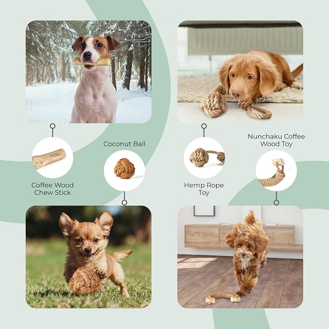 Alfred & Beebee Eco-Friendly Natural Coffee Wood Dog Chew Toy 4 Pack - Image 3