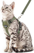 Cat Harness and Leash Escape Proof Extra Large Kitten Harness Maine Coon Cat by pangdi