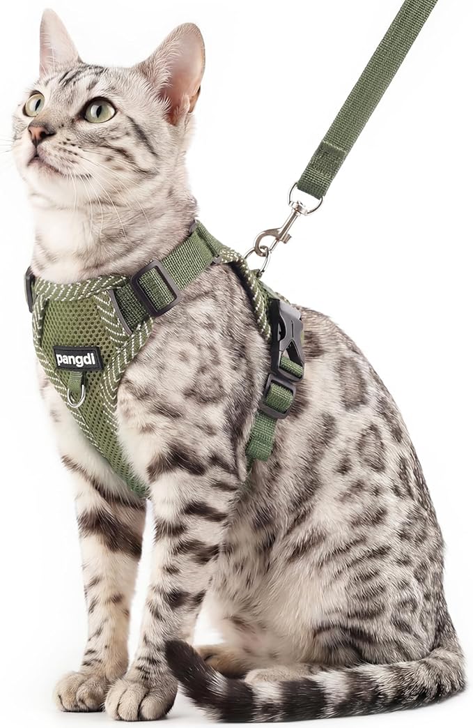 Cat Harness and Leash Escape Proof Extra Large Kitten Harness Maine Coon Cat by pangdi