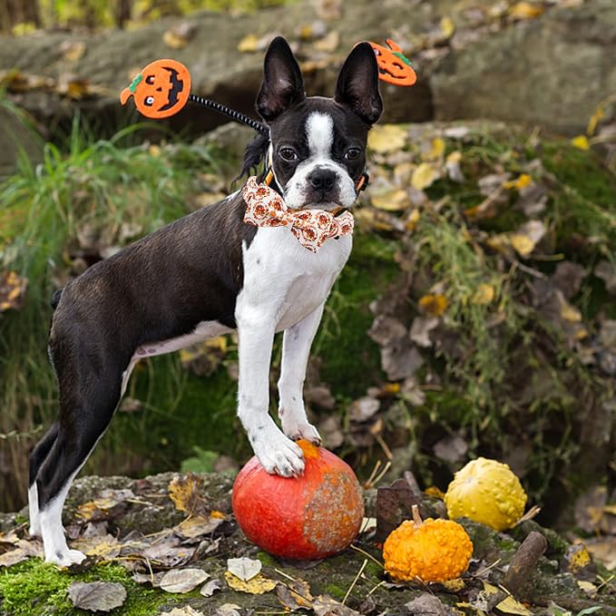 Dog Collar - Thanksgiving Turkey Pet Collar Bowtie Gift Puppy Cute Bow Collar - Image 5