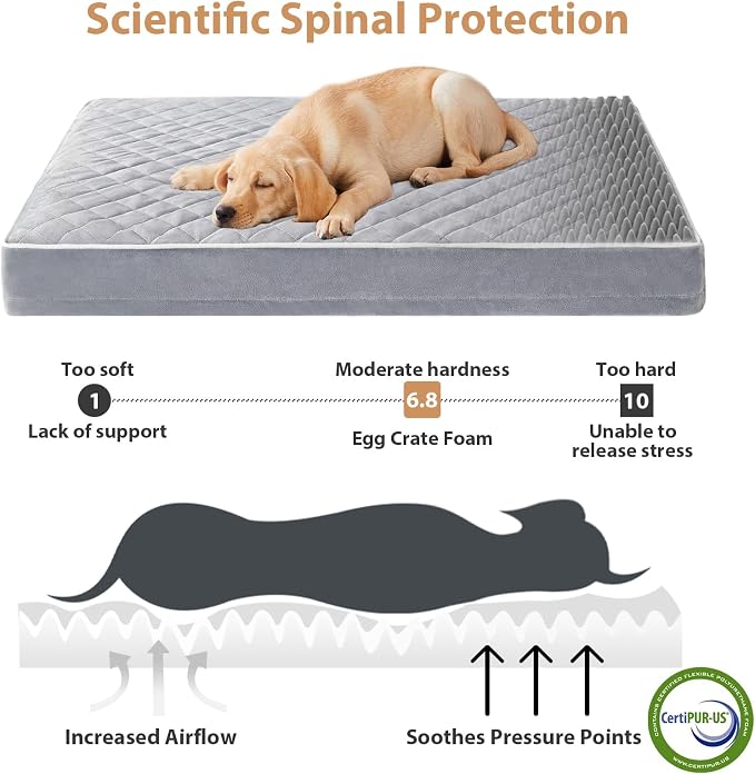 WNPETHOME Orthopedic Big Dog Beds Large Sized Dog, Waterproof Extra Large Dogs - Image 3