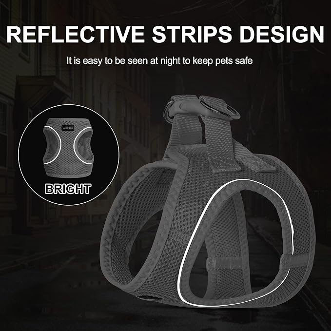 PetiFine Extra Small Step in Dog Harness and Leash Set, Cat Harness and Leash - Image 4