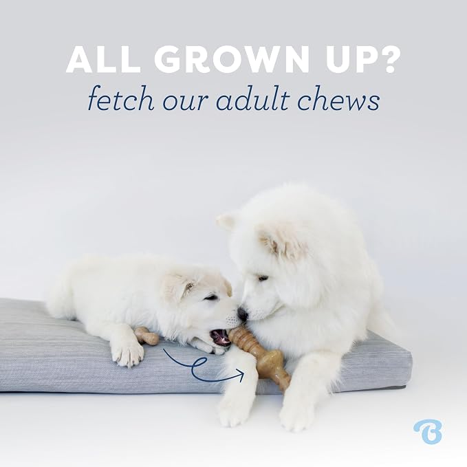 Benebone Puppy Wishbone Durable Dog Chew Toy - Image 5