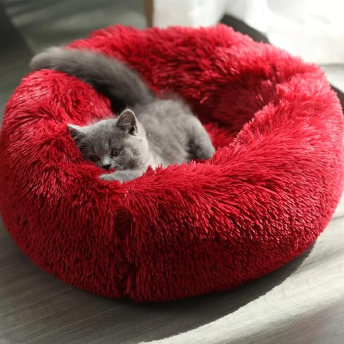 Small Cat Beds for Indoor Cats by Unknown