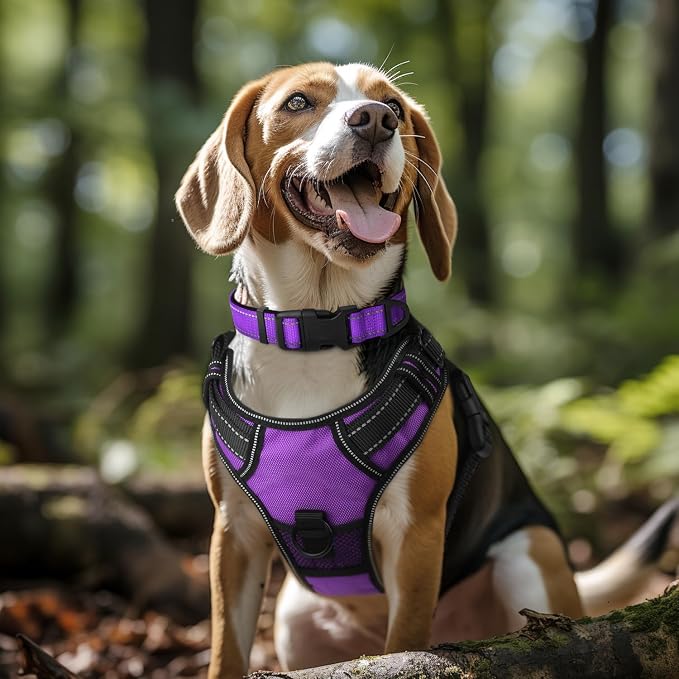 Joytale Reflective Dog Collar, Soft Neoprene Padded Breathable Nylon Pet Collar - Image 2
