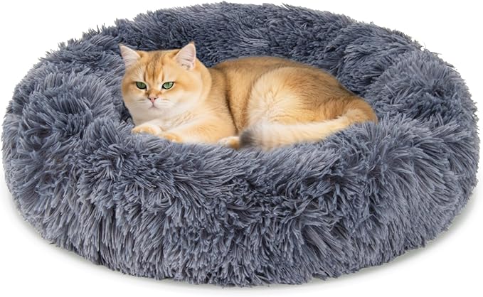 Cat Bed - Calming Cat Bed for Small Kittens Donut Washable Round for Indoor by Unknown