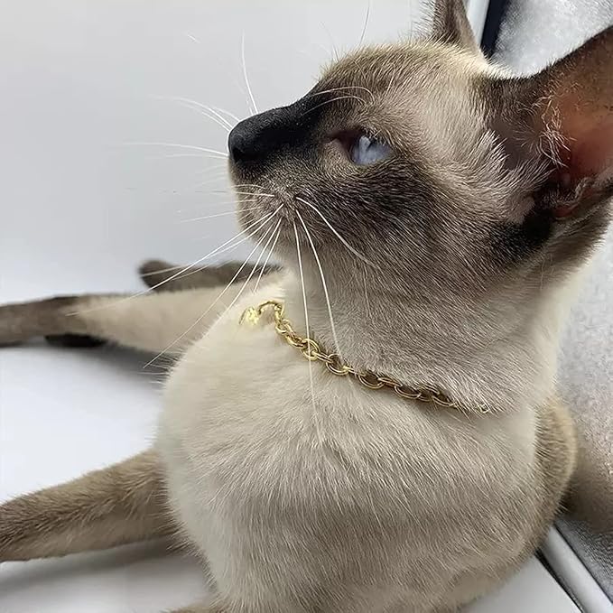 HOWWFALY Dog Collar and Cat Chain Necklace Stainless Steel Adjustable 18K Gold - Image 8