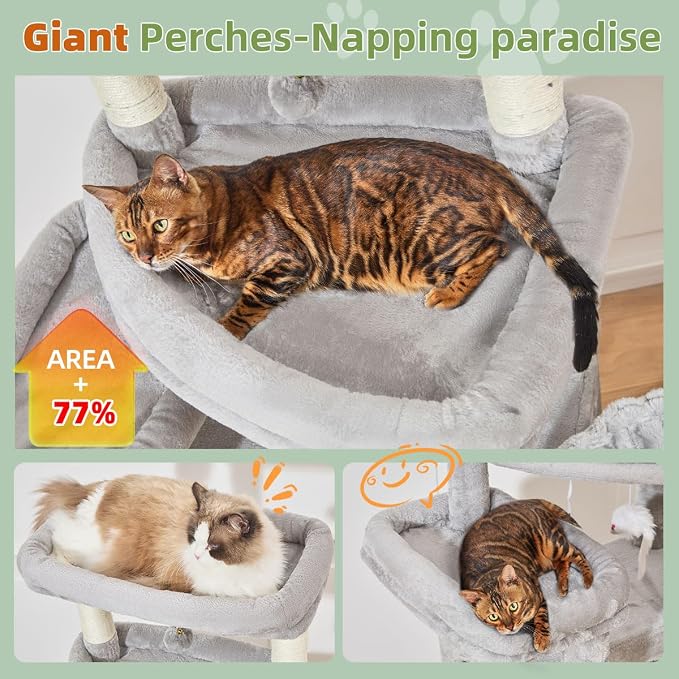 Taoqimiao 71 Inches Cat Tree for Large Cats 20lbs+, 3 Giant Perches, Widened - Image 3