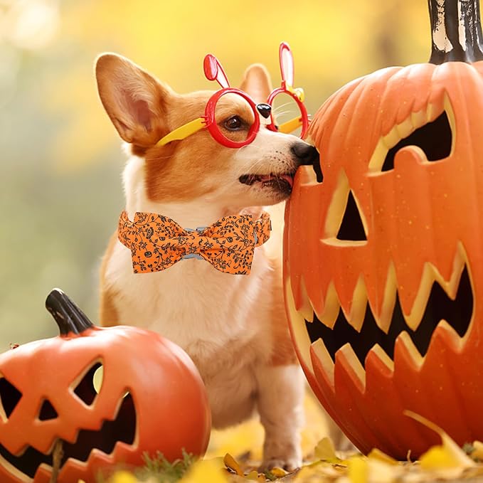 Halloween Dog Collar, Pet Collar Bow Pumpkin Collars Girl Boy Holiday Pet - Image 4