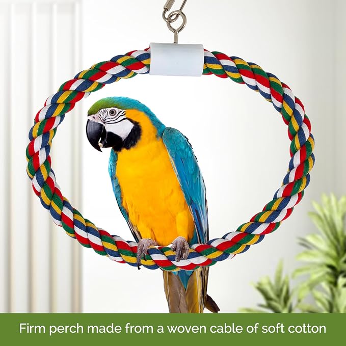 JW Pet Swing N' Perch - Image 5